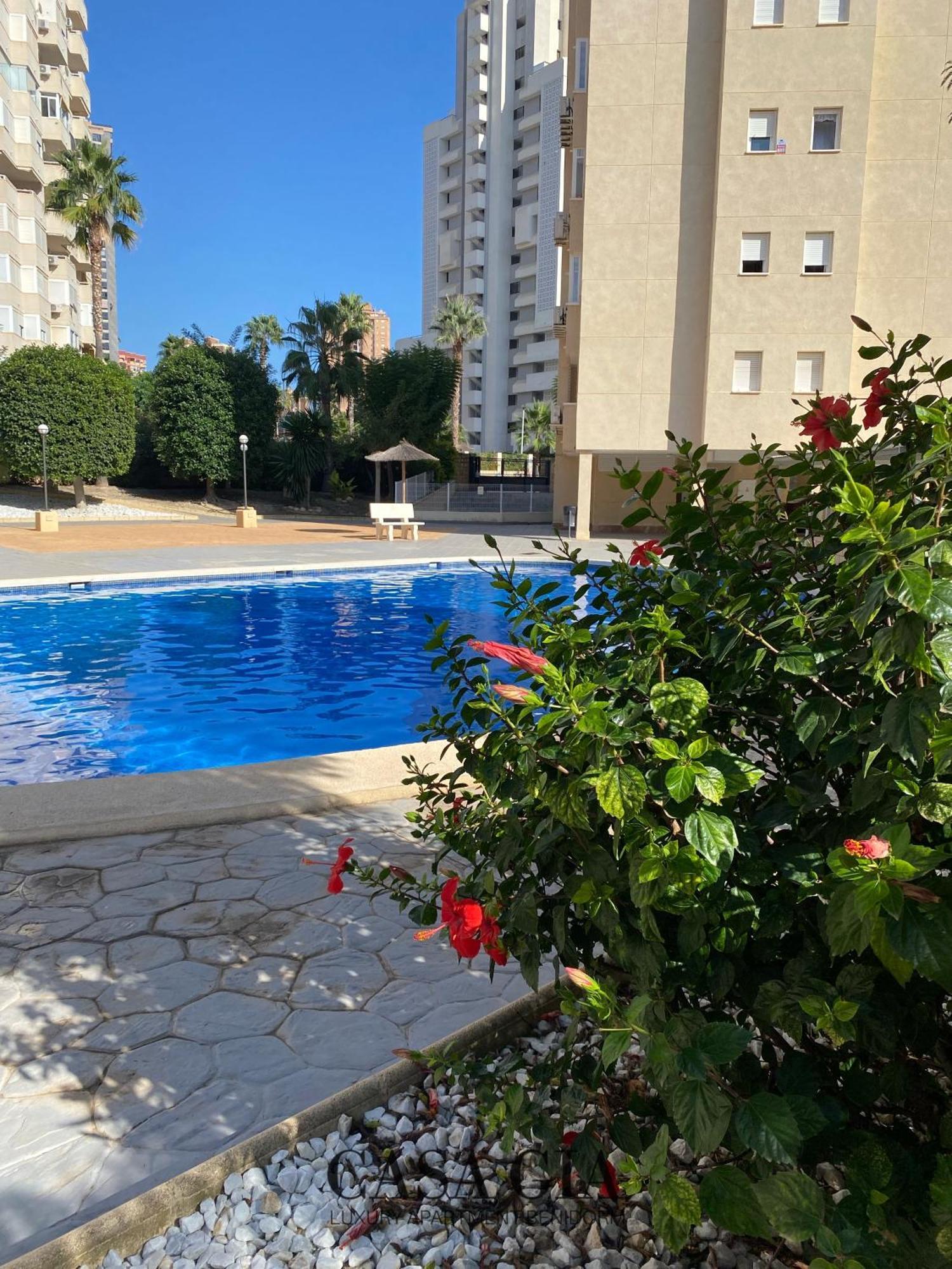 Casa Gia L Luxury Apartment Benidorm Eksteriør billede